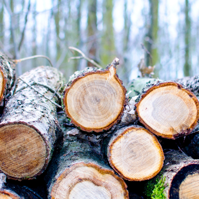 Electric vs. Gas Log Splitters — Which Should You Buy?